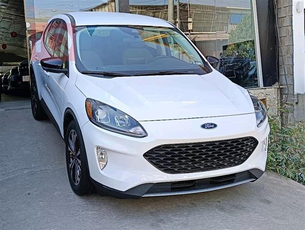 Ford for sale in Iraq